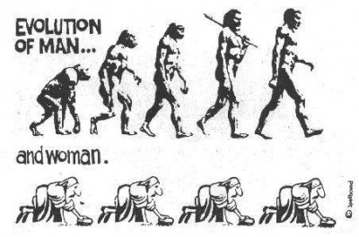 эволюция.jpg